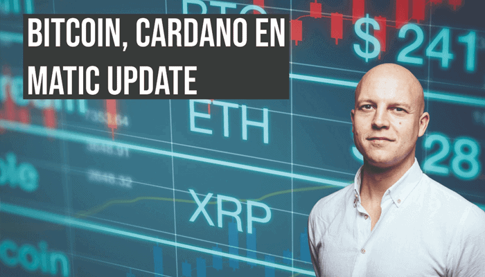 Still bullish on bitcoin, cardano and matic?  » Crypto Insiders