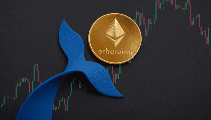 ApeCoin valt in de smaak bij ‘Ethereum whales’