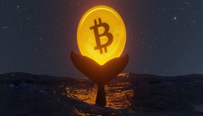 Third largest whale buys for 0 million BTC