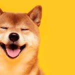 Shiba inu (SHIB) koers stijgt 23% na prijsuitbraak