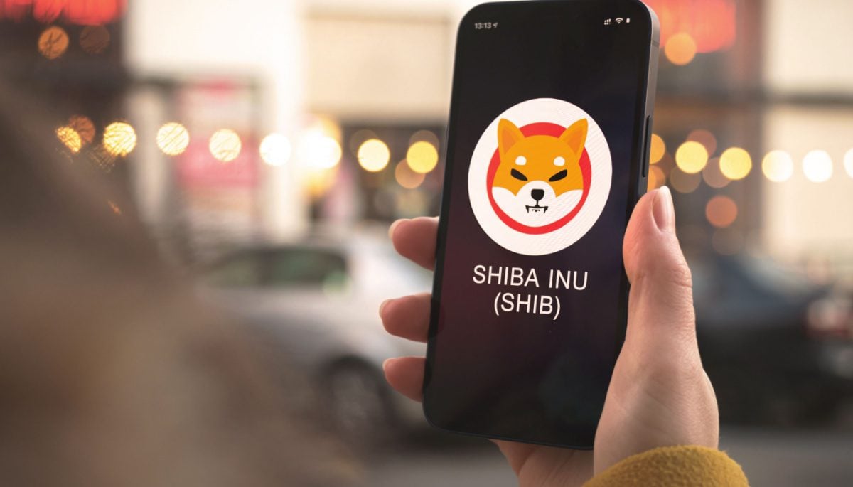 Shiba inu of een festival ticket: dit kon je festival ticket nu waard zijn