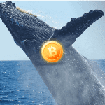 Aantal bitcoin whales met meer dan 1.000 BTC is in 2019 enorm gestegen