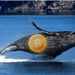 Bitcoin (BTC) whales versturen meer dan €1,5 miljard aan BTC