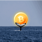 Onderzoek: Een enkele bitcoin (BTC) whale was verantwoordelijk voor de all-time high eind 2017