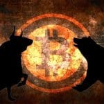 bitcoin bull bear