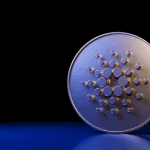 Cardano oprichter verwacht dit jaar ‘Solana-achtige prestaties’