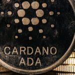 Tijdelijke Cardano netwerkfout geen reden voor paniek, zegt oprichter