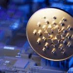 Cardano ziet sterke groei na lancering van Djed stablecoin