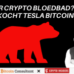 Gaat het bitcoin bloedbad door? John bekijkt de altcoin koersen