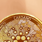 Groei Cardano is 'absoluut uitzonderlijk,' aldus oprichter