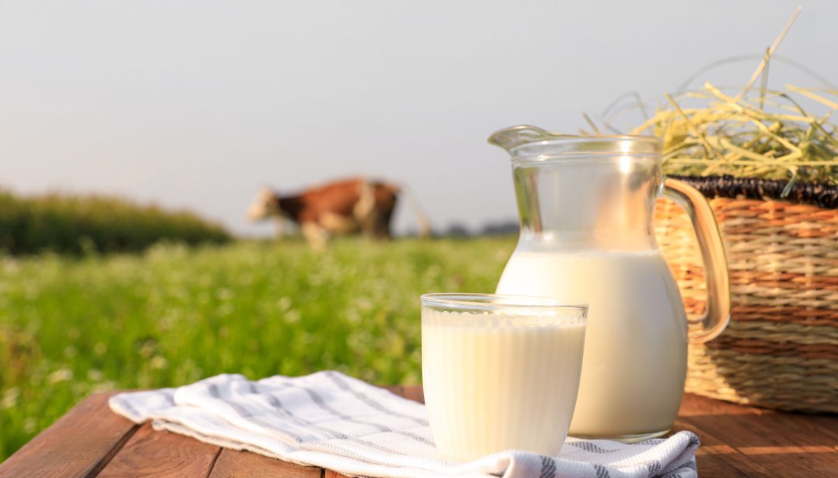 Van melk tot pasta: Hoe extreme inflatie onze eettafel beïnvloedt