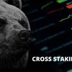 Cross Staking beschermt crypto beleggers tegen bear-markt