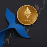 ApeCoin valt in de smaak bij ‘Ethereum whales’