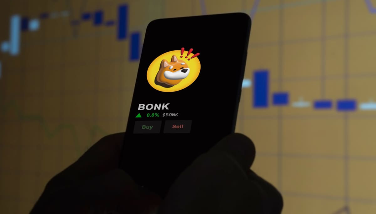 bonk-memecoin-solana-anycoin-direct