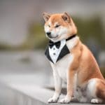 Bitcoin daalt: altcoin startschot? Pepe en Shiba vinden van wel