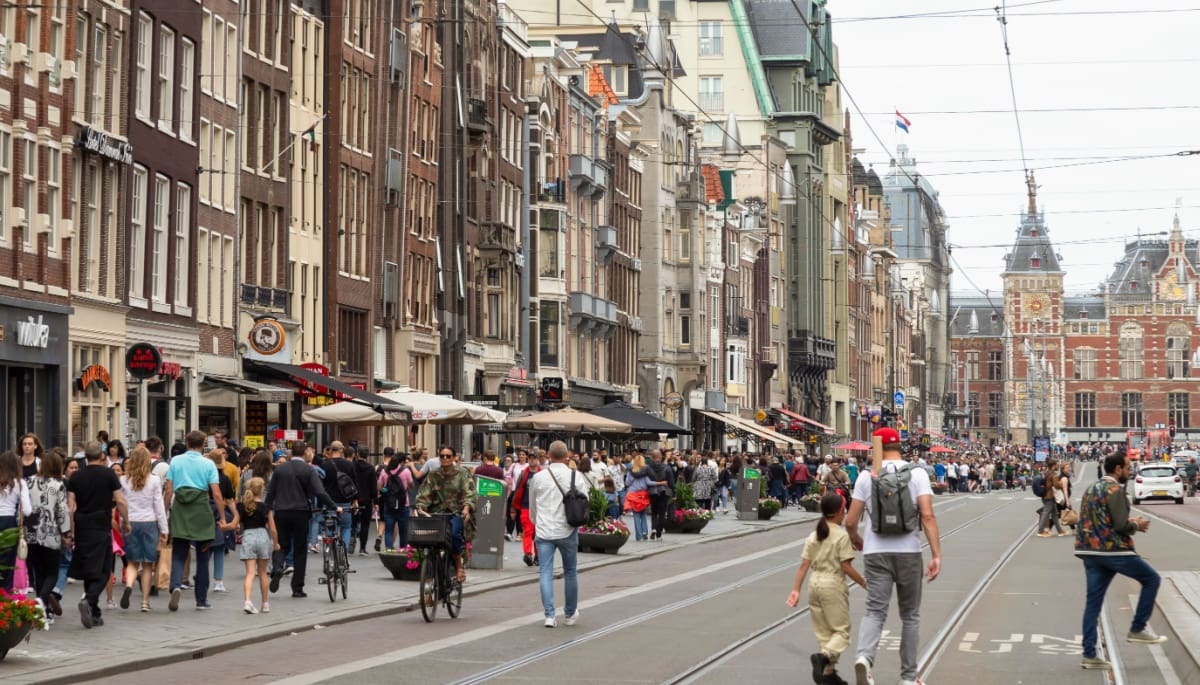 Wat zijn de populairste aandelen van Nederlandse beleggers?