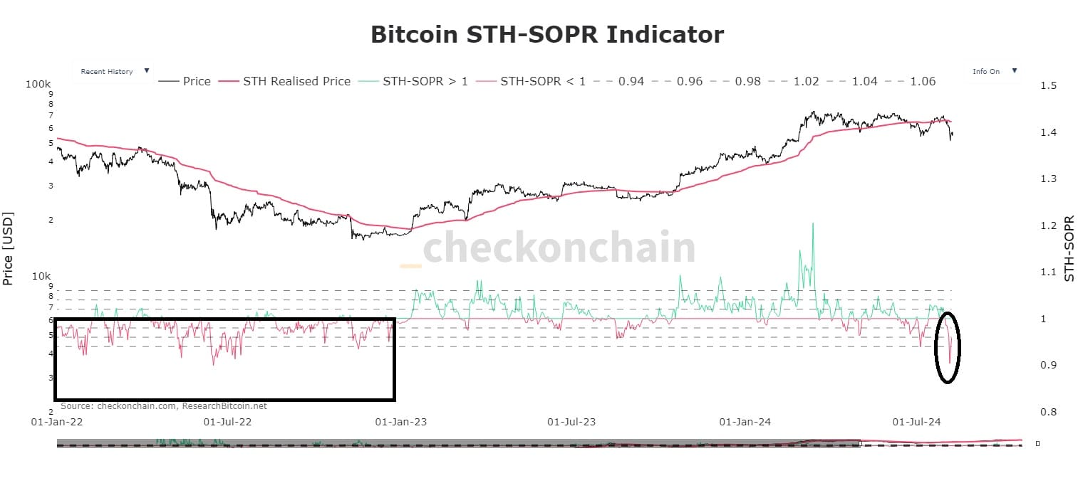 De bitcoin STH-SOPR Indicator