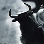 Nederlandse crypto 'bull' deelt belangrijke tip: blijf altijd bullish