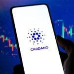 Koers van cardano schiet omhoog, munt al op 8e plek