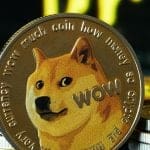 Uitgezocht: kan dogecoin naar $1? Hoe belangrijk is Elon Musk hierbij