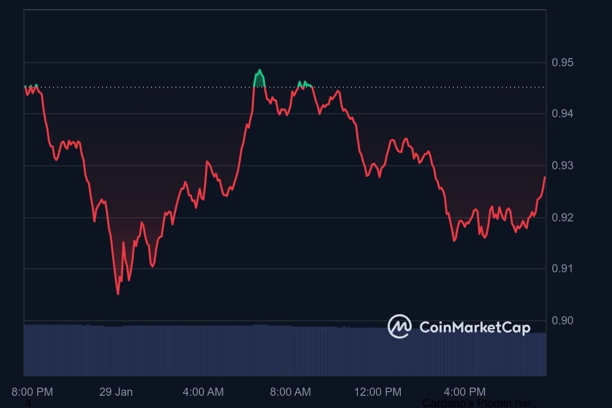 De cardano koers van de afgelopen 24 uur. Bron: CoinMarketCap.