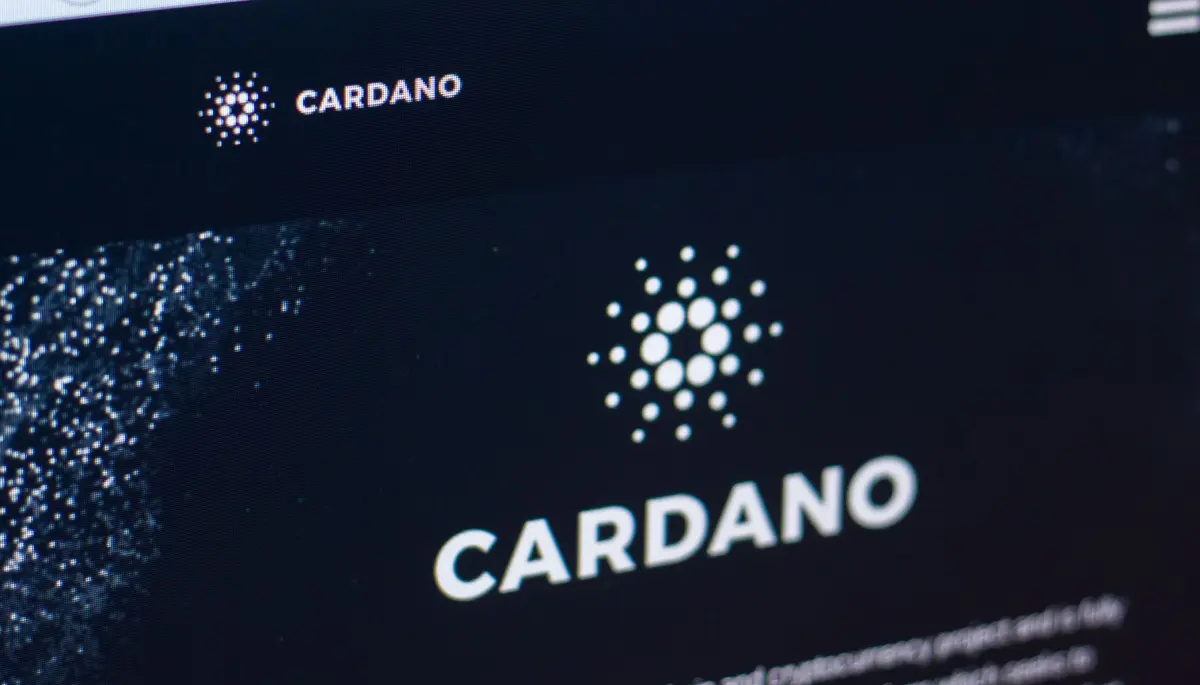 Waarom daalt cardano vandaag zo hard?