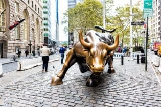 wat is een bullrun