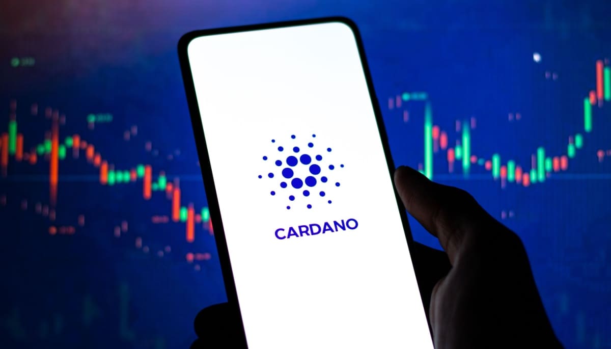 'Ik weet nergens van', oprichter geschokt door cardano in crypto reserve