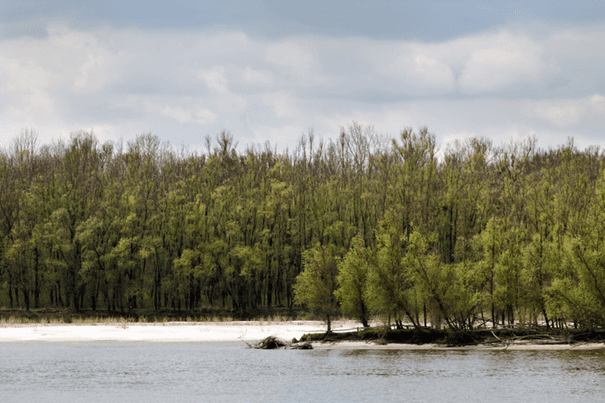 Liberland gezien vanaf de Donau. Bron: De Groene Amsterdammer.