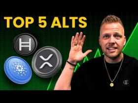 Dit is onze altcoin top 5: XRP, hedera en meer