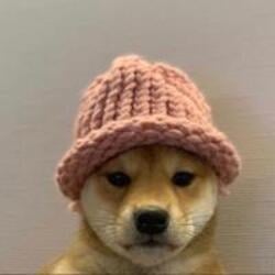 dogwifhat-$WIF